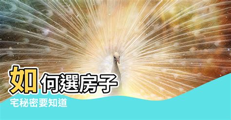 做西向東|陽宅風水學 坐西南向東北 「坤」宅秘密要知道 – 阿丸。